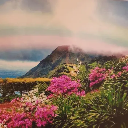 T3-s.pedroii Πόντα Ντελγκάντα