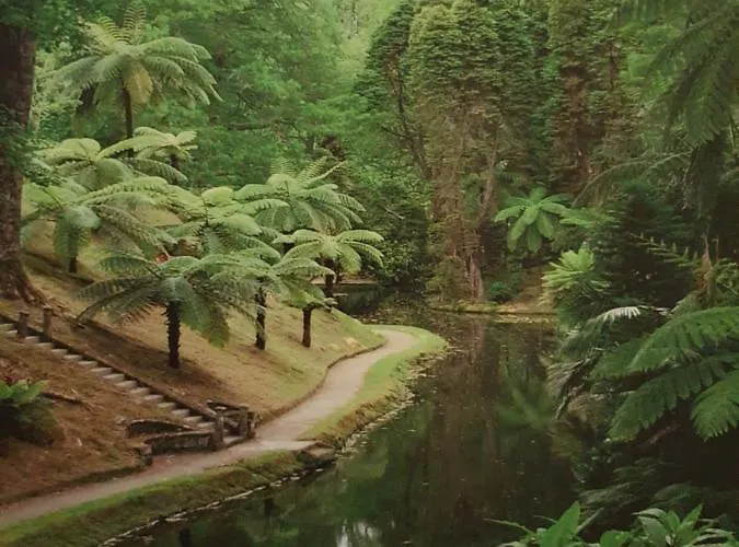 Appartamento T3-s.pedroii *