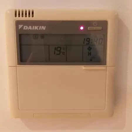 T3-s.pedroii * 蓬塔德尔加达