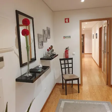 T3-s.pedroii * 蓬塔德尔加达