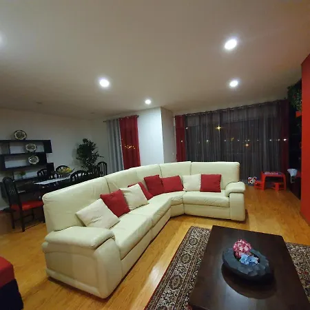 T3-s.pedroii 蓬塔德尔加达