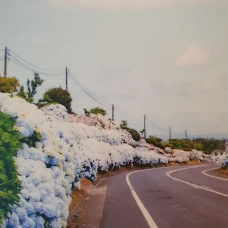 公寓 T3-s.pedroii 蓬塔德尔加达