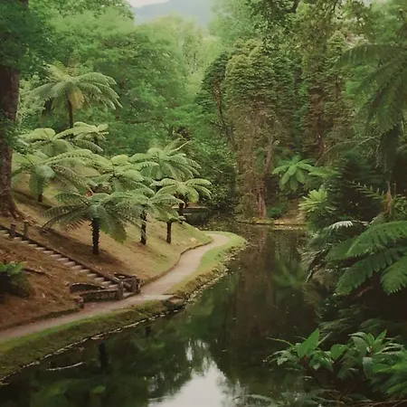 公寓 T3-s.pedroii *