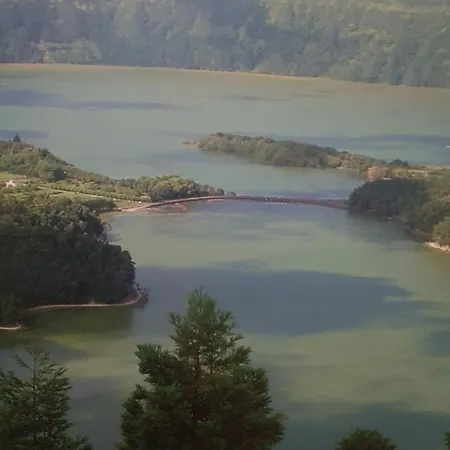 T3-s.pedroii 蓬塔德尔加达