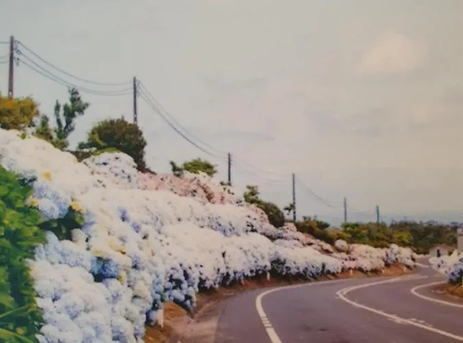 아파트 T3-s.pedroii Ponta Delgada