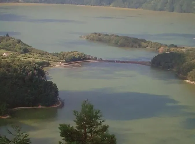 T3-s.pedroii Понта-Делгада