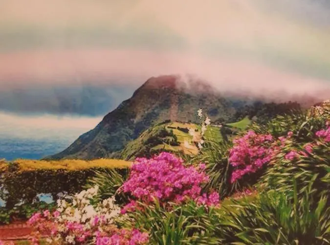 T3-s.pedroii Понта-Делгада